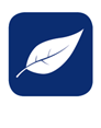 ESG-Fokus ESG-Fokus