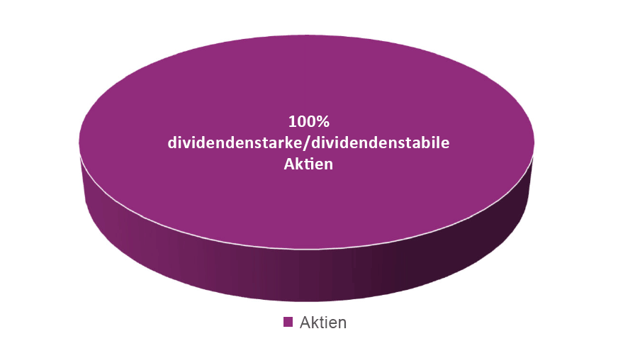 Ziel-Quoten der Asset Allocation: HP&P Stiftungsfonds